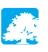 IBS International Business School